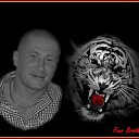 ���� Volter, �������� - ��������� 24 ������� 2014 � ������ ���� ����������