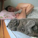���� �����, ���� - ��������� 23 ������ 2014 � ������ �VIDE�