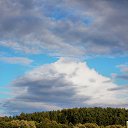 ������ 2014. ������ ������� ����) �� ������� ������Ż