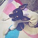 ���� ������, ������������� - ��������� 17 �������� 2014 � ������ �DIZ����