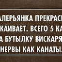 ���� �����, ������������, 47 ��� - ��������� 13 ������� 2014 � ������ ������ ��������
