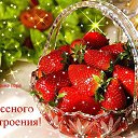 ���� ����, ������ - ��������� 12 ����� 2015 � ������ ������ ��������