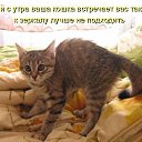 ���� �����, ���� - ��������� 23 ������� 2014 � ������ ������ ��������