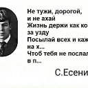 ���� �����, ���, 56 ��� - ��������� 10 ������ 2015 � ������ �////�
