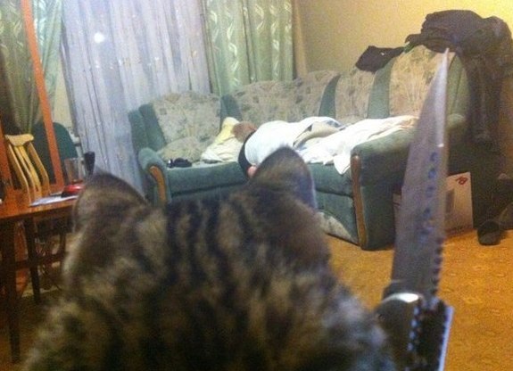 Город засыпает,просыпается мафия... - Без кота и жизнь не та ...