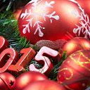 ���� �����, �����, 43 ���� - ��������� 28 ������� 2014 � ������ ������ ��������