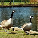 ���� Sveta, ���� - ��������� 7 ������ 2015 � ������ ������� 2015.����.�