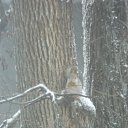 ���� �������, ��������� - ��������� 10 ������ 2015 � ������ ��������