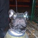 ���� ��������, ������� - ��������� 26 ����� 2015 � ������ ���� ��������