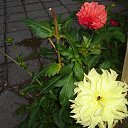 ���� �������, ���������, 67 ��� - ��������� 3 ����� 2015 � ������ ���� ����������