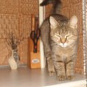 ���� �����, ��������, 51 ��� - ��������� 1 ������ 2015 � ������ ������ ��������