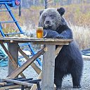 ���� ����������, ���, 49 ��� - ��������� 1 ������ 2015 � ������ ���� ����������