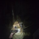 ���� �����, �������� - ��������� 20 ������ 2015 � ������ ���� ����������