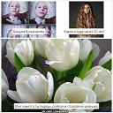 ���� �����, ��������, 22 ���� - ��������� 7 ����� 2015 � ������ ������ ��������