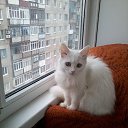 � ��� ��� ��� �� ������� ������
