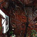 ���� Natali, ������ - ��������� 23 ����� 2015 � ������ ������ ��������