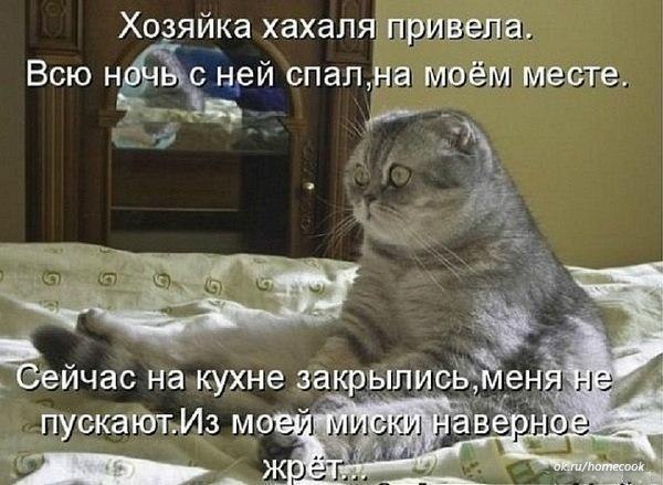 ����� - 28 ������� 2015 � 20:10