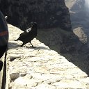 ���� �������, ������ - ��������� 27 ����� 2015 � ������ ���������