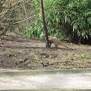 ���� �������, �����������, 72 ���� - ��������� 6 ������� 2015 � ������ ��������.�������.2011�