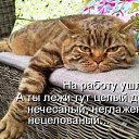 ���� ������, ������, 55 ��� - ��������� 7 ����� 2015