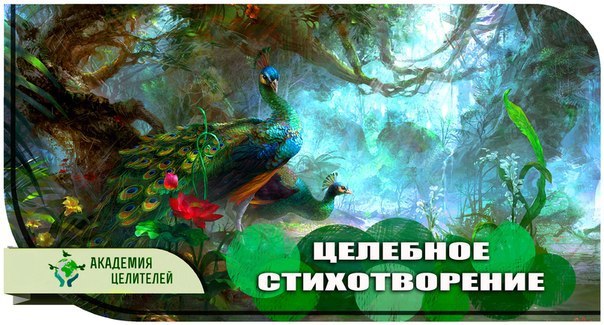 Академия Целителей.вчера в 22:01ЦЕЛЕБНОЕ СТИХОТВОРЕНИЕЭто стихотворение внесет в Ваш мир успокоение, ...
