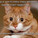 ���� ���������, ���������, 60 ��� - ��������� 23 ����� 2015 � ������ ������ ��������