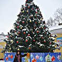 ���� ������, ����������� - ��������� 16 ������ 2015 � ������ ������ 16 ������ 2015 ���