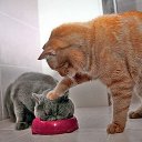 ���� �����, ������� �����-7, 54 ���� - ��������� 15 ������ 2015 � ������ �������.�