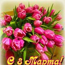 ���� �������, ���������, 53 ���� - ��������� 6 ����� 2015 � ������ ������ ��������