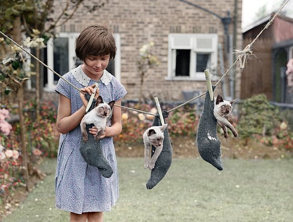 Фото-художник сделал колоризацию фотографии девочки с котятами, снятой в 1931г. - 2