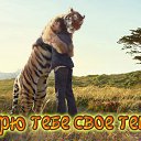 ���� �������, ����, 47 ��� - ��������� 10 ������� 2015 � ������ �������� ��������