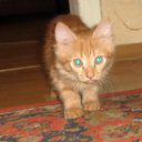 ���� Andygo, ��������� - ��������� 29 ������ 2015 � ������ �Love�