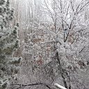 ���� ����@, �������� - ��������� 15 ������� 2014 � ������ ������ ��������