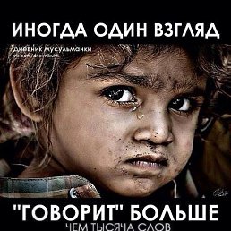 ���� ���, ���������, 34 ���� - ��������� 22 ����� 2015