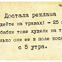  , , 51  -  4  2015    