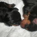 ���� - Inferno, ������ - ��������� 21 ������ 2015 � ������ ���� ���� ������ � �����, ���...�