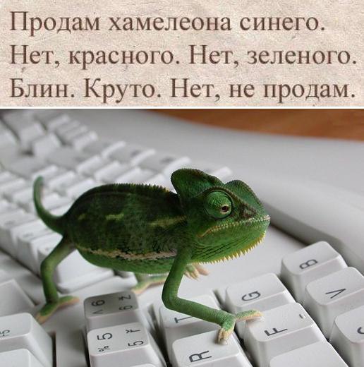 ��������� � ������,��� ���� ��������: <a href=
