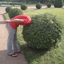 ���� �������, �����, 53 ���� - ��������� 23 ������ 2015 � ������ ���� ����������