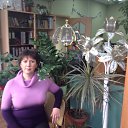 ���� �������, ������ - ��������� 26 ������� 2014 � ������ ������ ��������