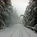 ���� Angel, �����-���������, 40 ��� - ��������� 6 ������� 2015 � ������ �....�