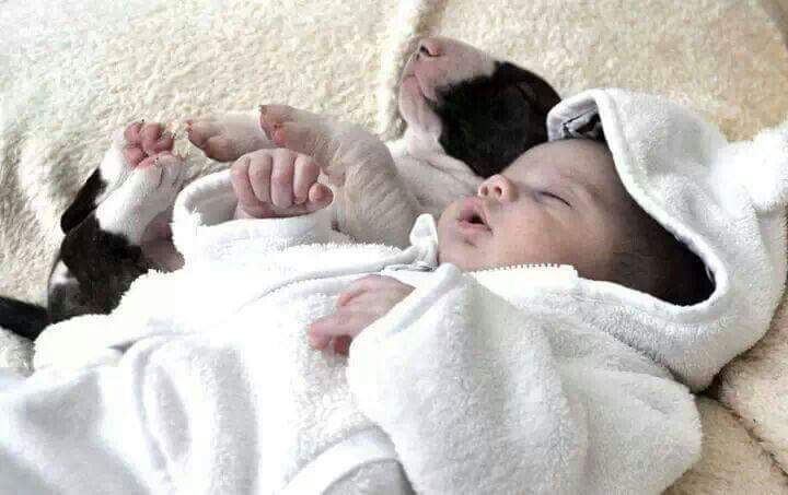 Всем хороших булеснов