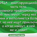 ���� ������, �����-��������� - ��������� 28 ������� 2014 � ������ ������ ��������