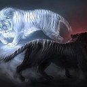 ���� �����, ������, 51 ��� - ��������� 6 ������ 2015 � ������ �����ۻ