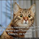 ���� �������, �������, 64 ���� - ��������� 6 ������ 2015 � ������ ������ ��������