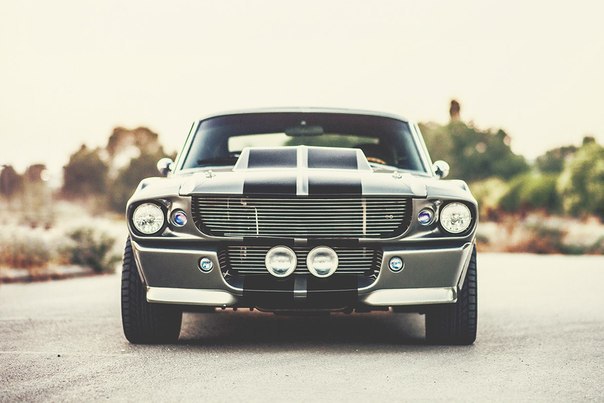 Shelby GT500 - 5