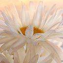 ���� Tatiana, ������ - ��������� 14 ������� 2015 � ������ ������ ��������