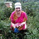 ���� �����, ��������, 66 ��� - ��������� 17 ������� 2014 � ������ ���� ����������