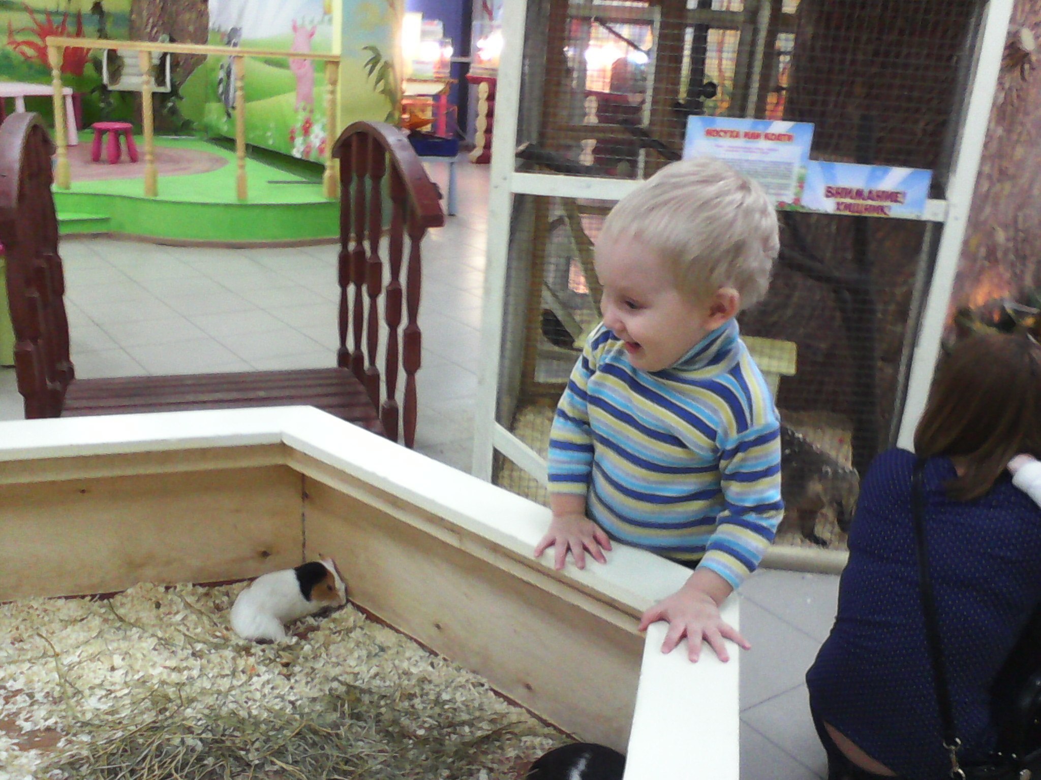     -  .  .    ,  ... - 2