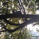 ���� ������, ������ - ��������� 2 ������� 2015 � ������ ���� ����������