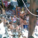 ������ ��������� �� ��������� ������� �� ������� ���� ����������